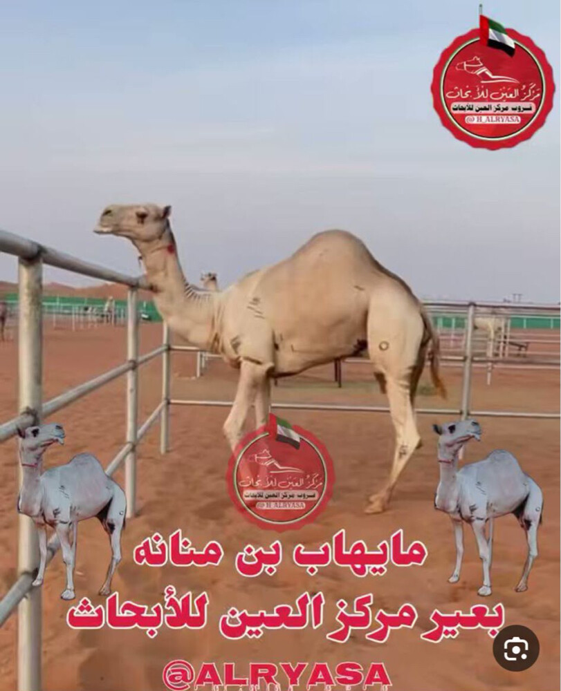 حمد - 2