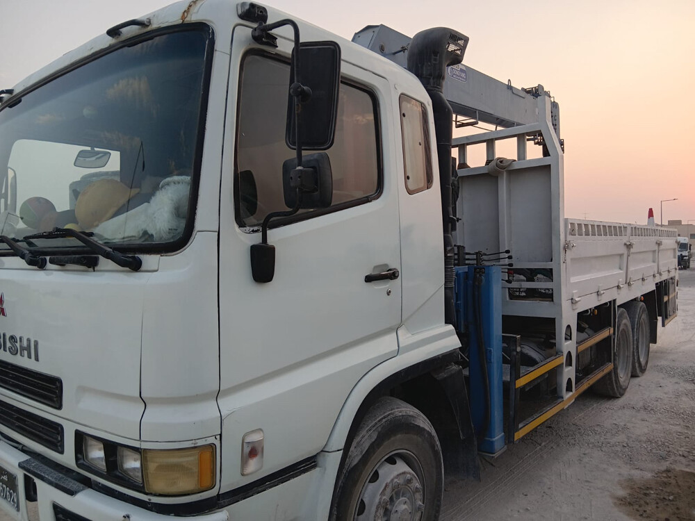 Mistubishi 10 Ton Dongyang Crane  - 3