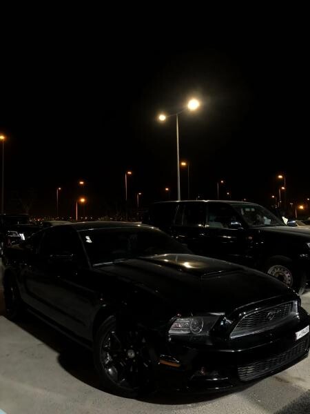 Mustang 2014 - 8