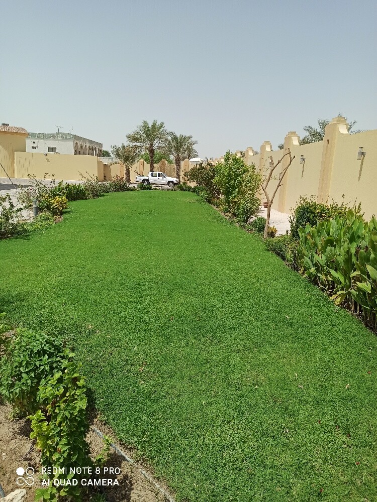زراعه وديكور الحدائق - 6