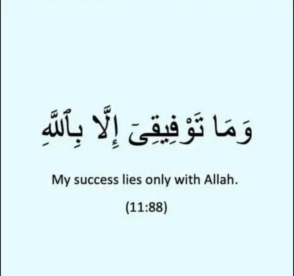 مس ازهار - 1