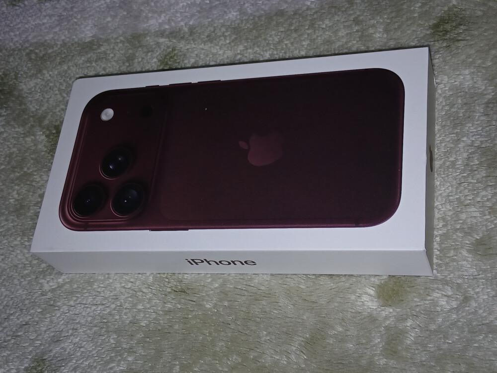 IPHONE 18PRO MAX ANNADI BURGUNDY - 4