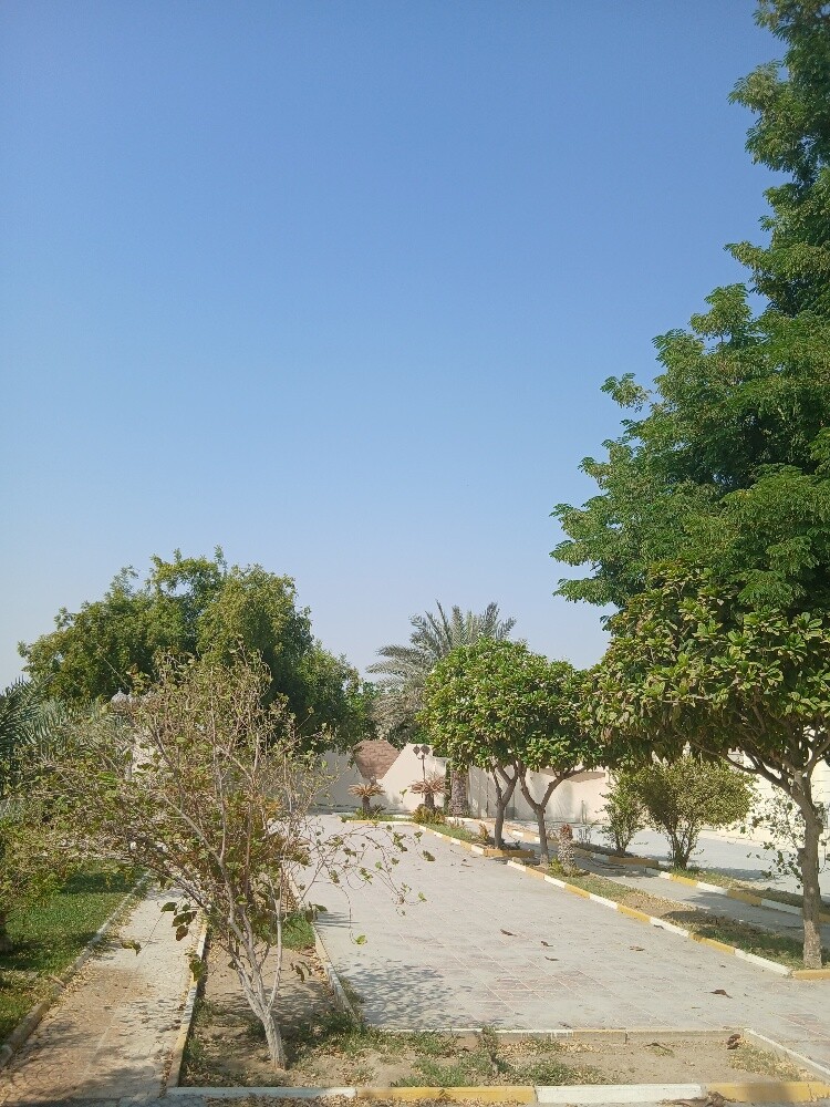 albalushii - 2