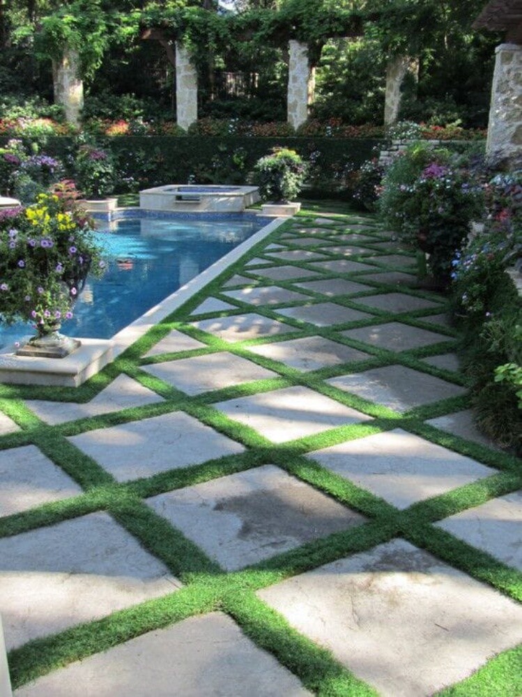 garden - 12