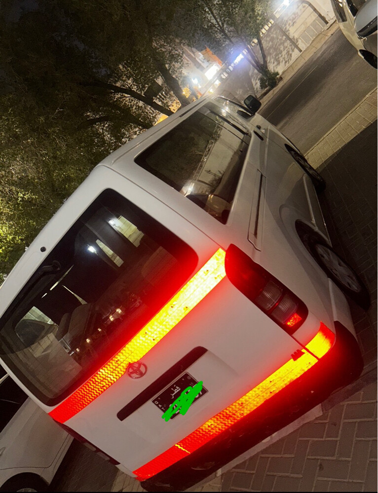 هايس دبزل 2010  - 3