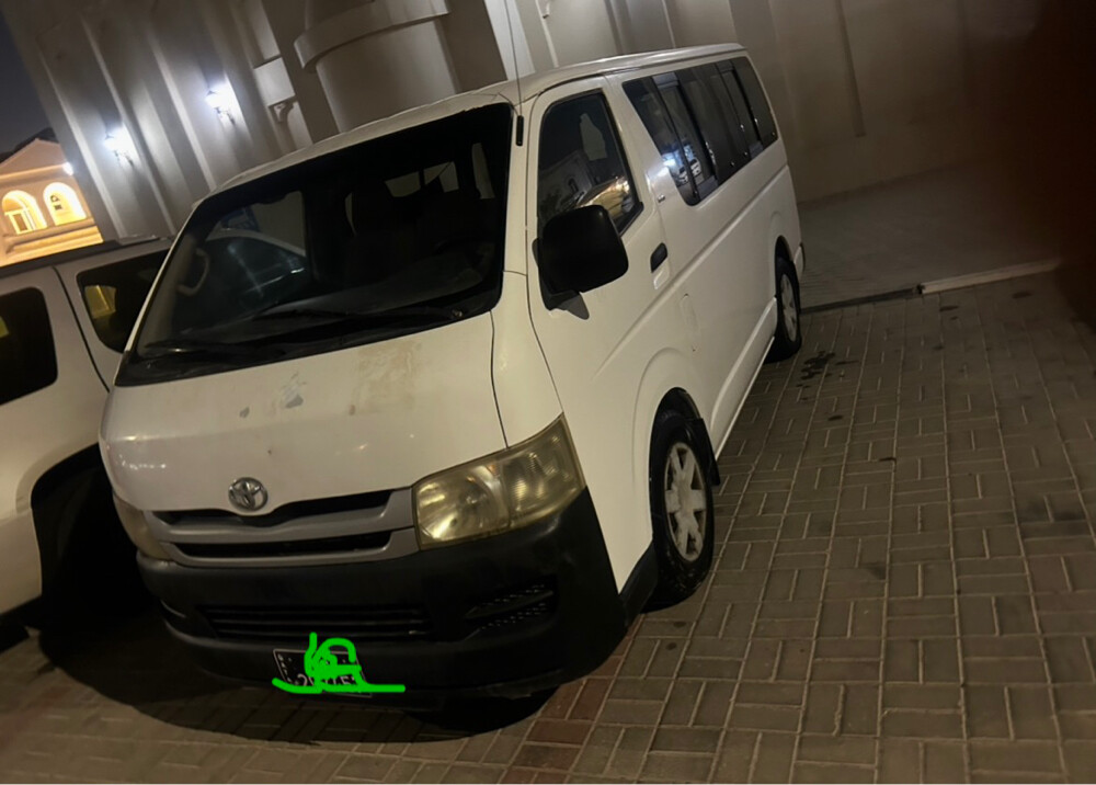 هايس دبزل 2010  - 1