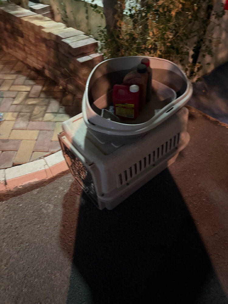 Large-sized cat and dog carrier - 1