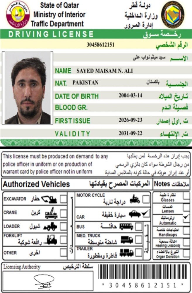 Sayed Maisam - 2