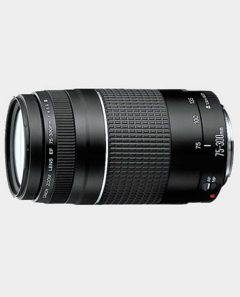 lens 75-300 - 2