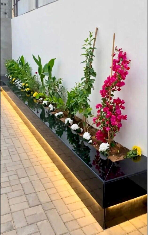 Garden Maintenance & sale - 2