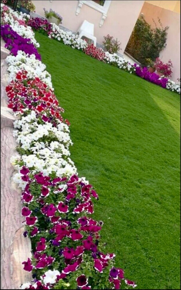 Garden Maintenance & sale - 5