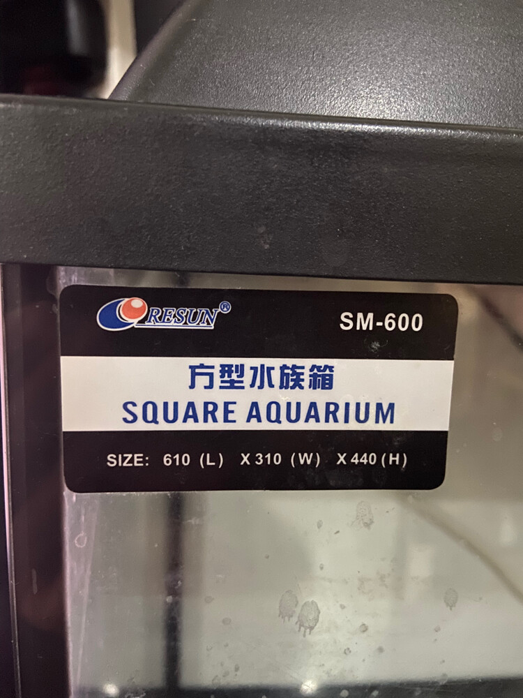 fish Aquarium  - 2