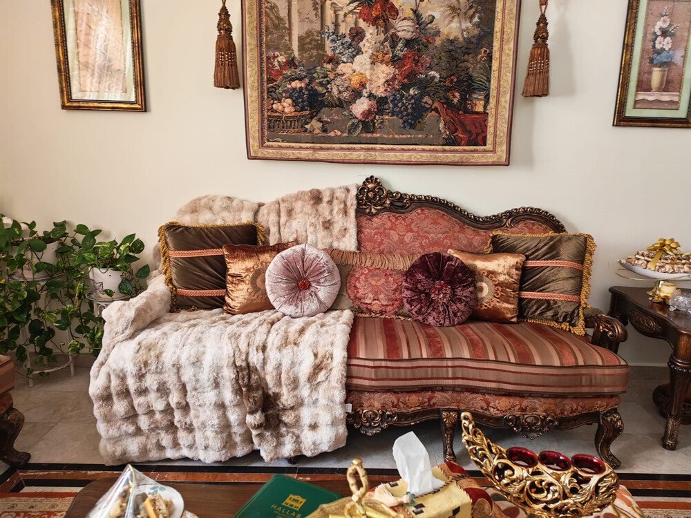 sofa set - 4