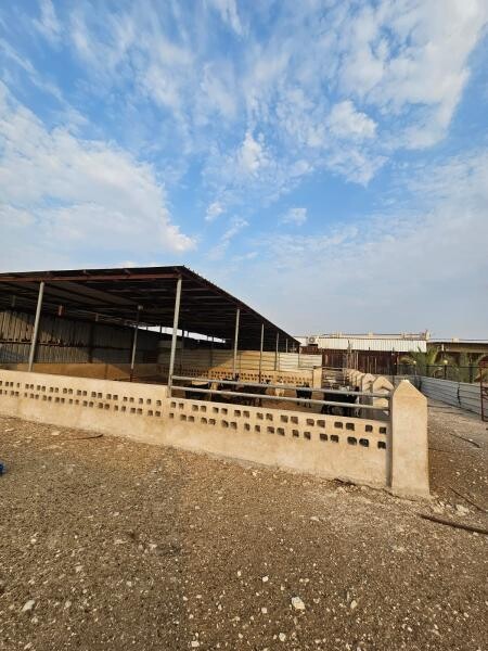 For Sale | Farm in Simaisma Farm - 1