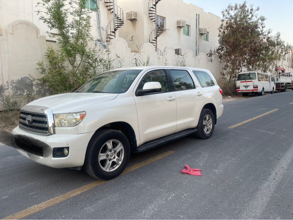سيكويا. 2013  - 8