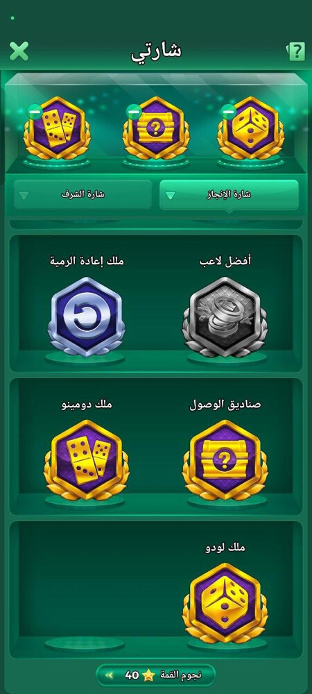 حساب لودو للبع - 14
