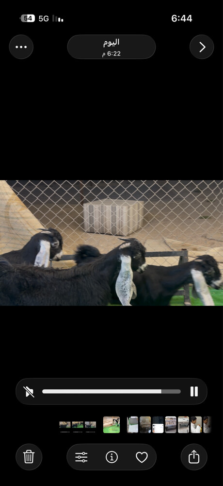مشاريع فحول - 1