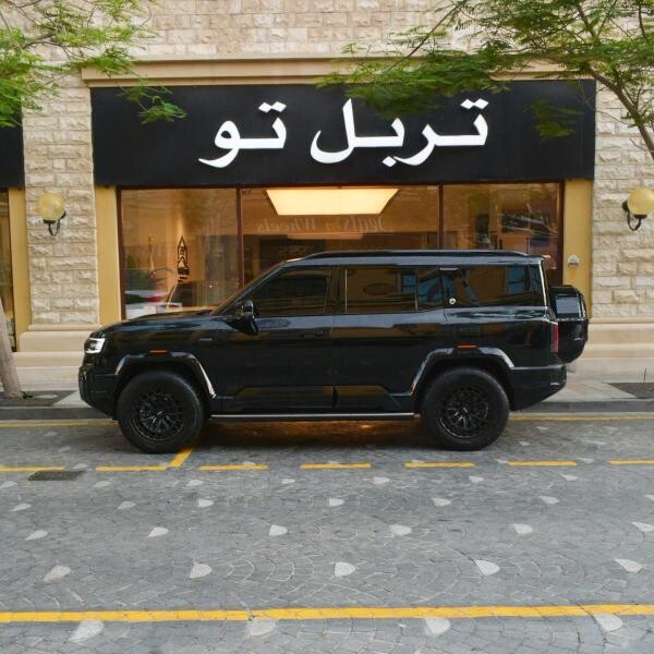 دينزا  بي 8 2026 - 9