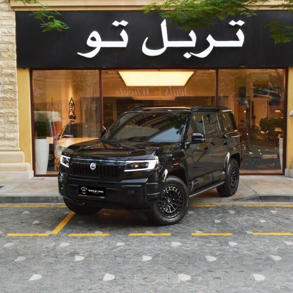 دينزا  بي 8 2026 - 7