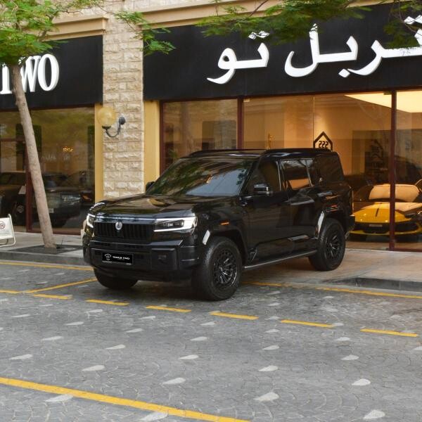 دينزا  بي 8 2026 - 1