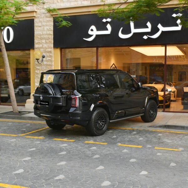 دينزا  بي 8 2026 - 10
