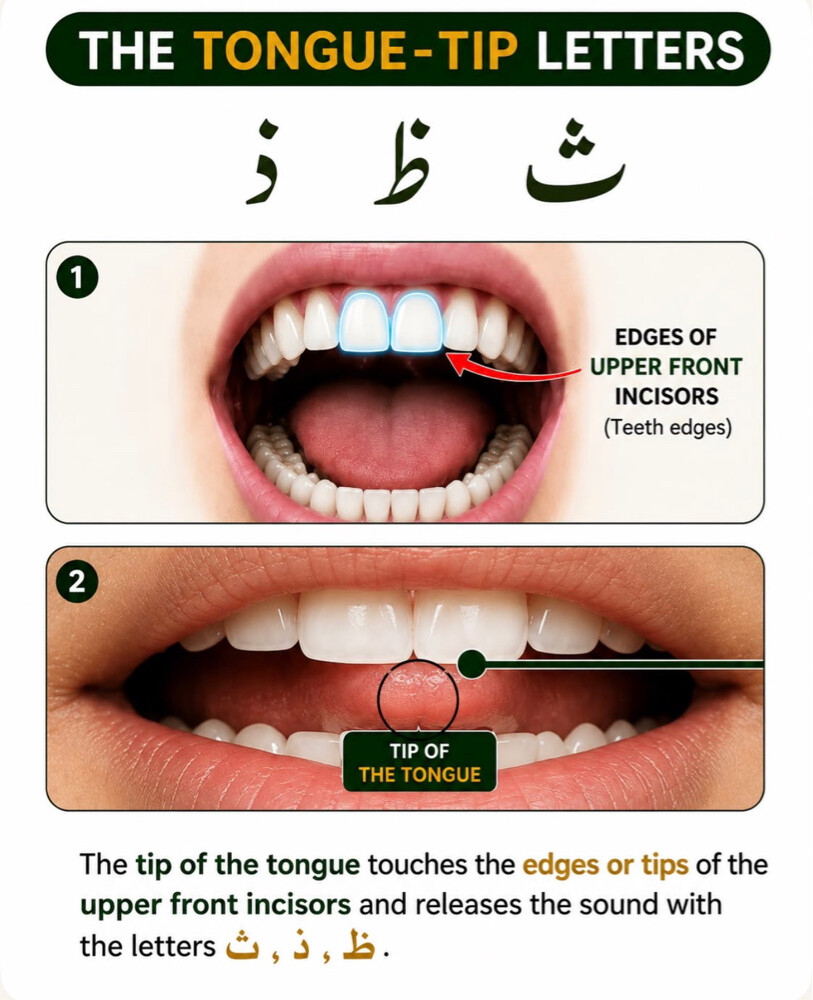 online Quran Academy - 4