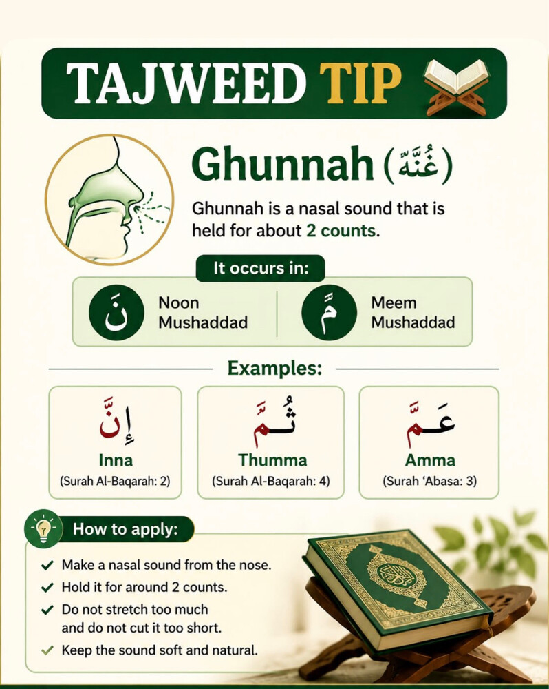 online Quran Academy - 2