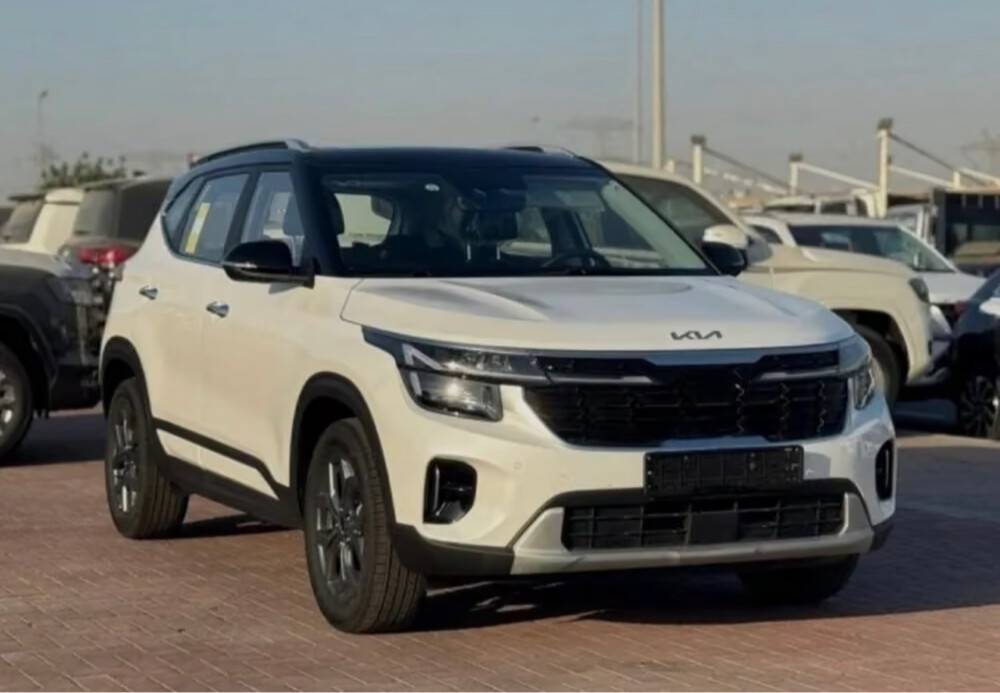 Kia seltos  Limited  (Highest Optio - 1