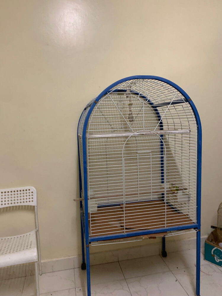 birdcage  - 2