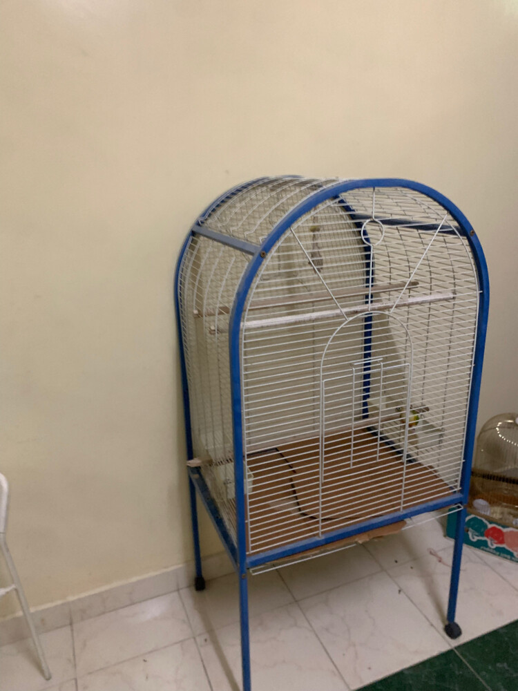 birdcage  - 1