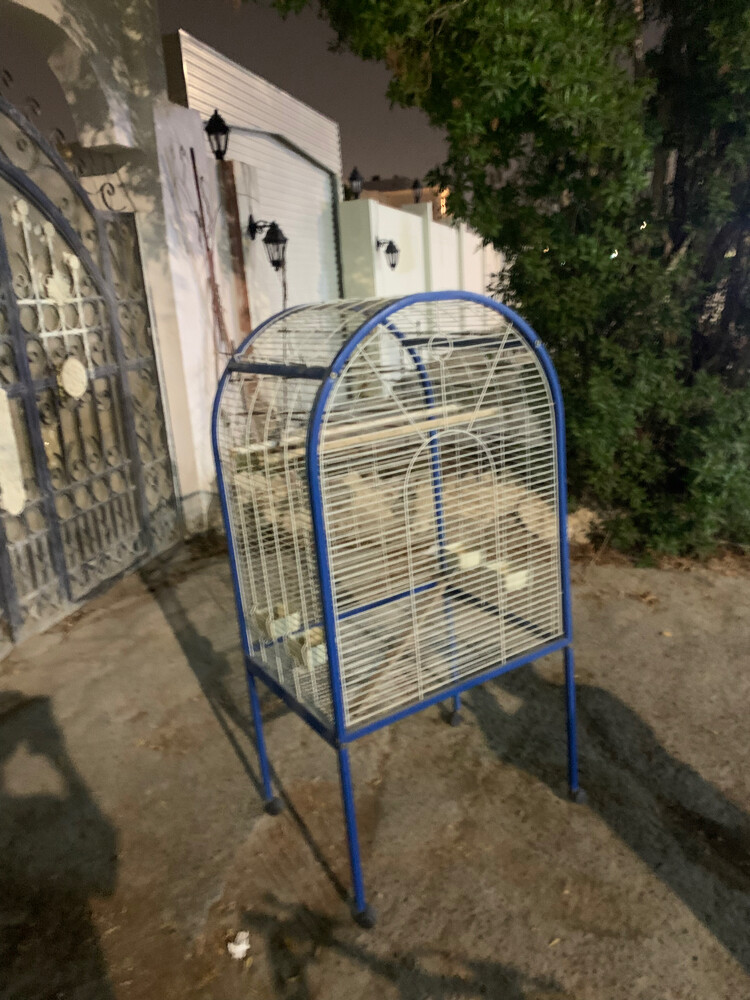 birdcage  - 4