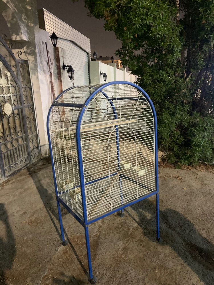 birdcage  - 5