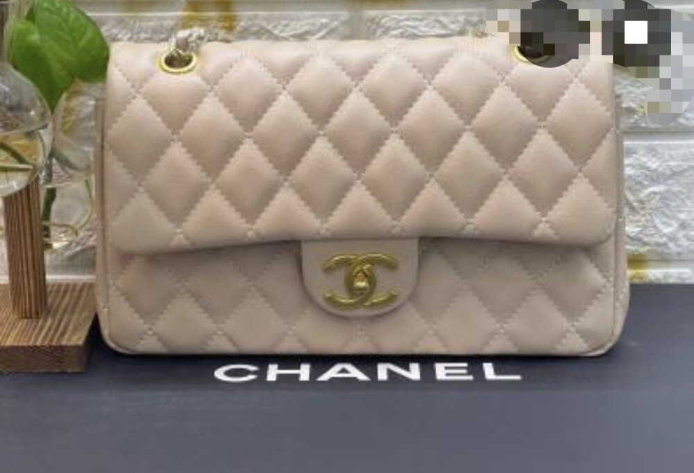 CHANEL BAGS FOR SALE - 1