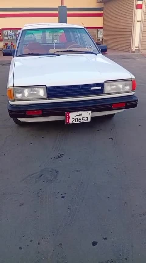 1982 Datsun OLD BEAUTY - 5