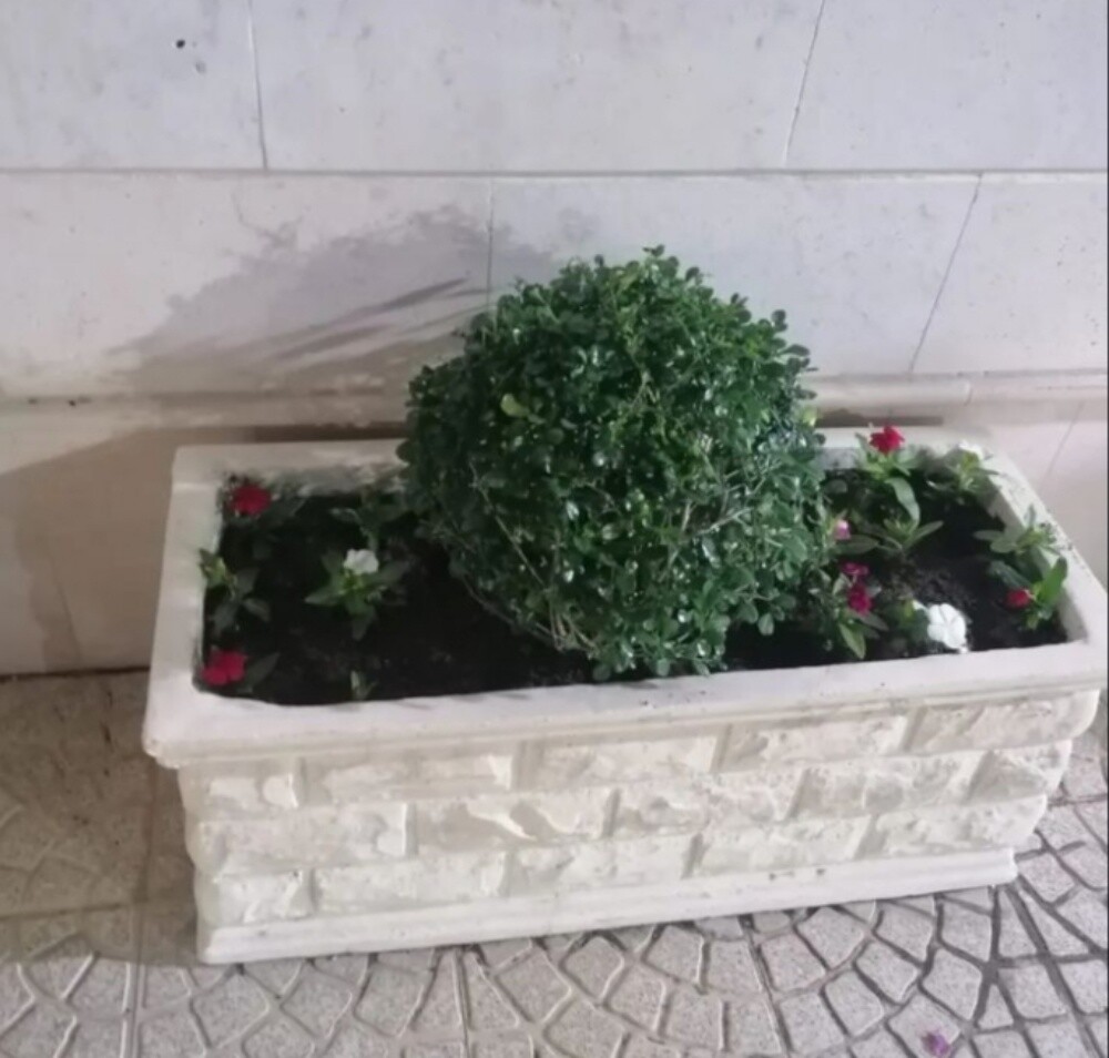 زراعة حدائق - 8