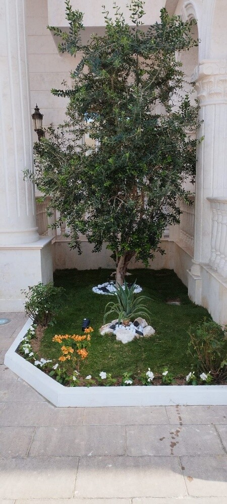 زراعة حدائق - 7