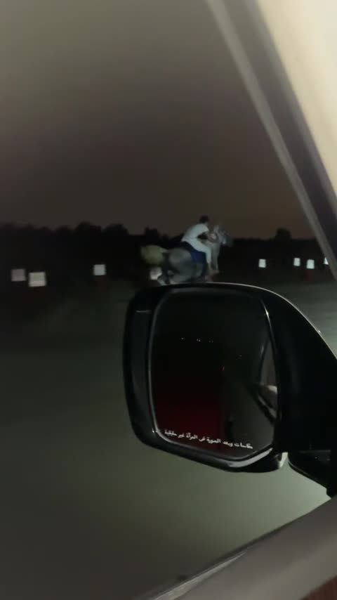 فحل عربي عمره 5 سبوق  - 3
