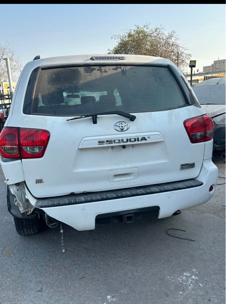 SEQUOIA SCRAPE AVAILABLE (2013)part - 1