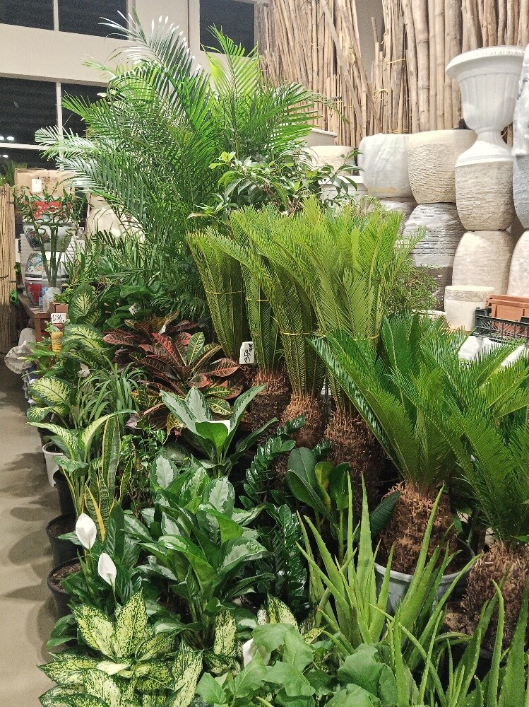 Gardening - 1