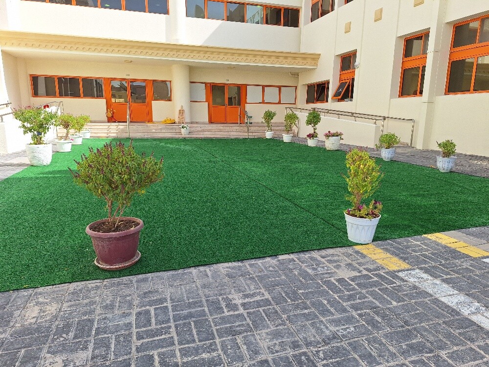 Green grass carpet - 7