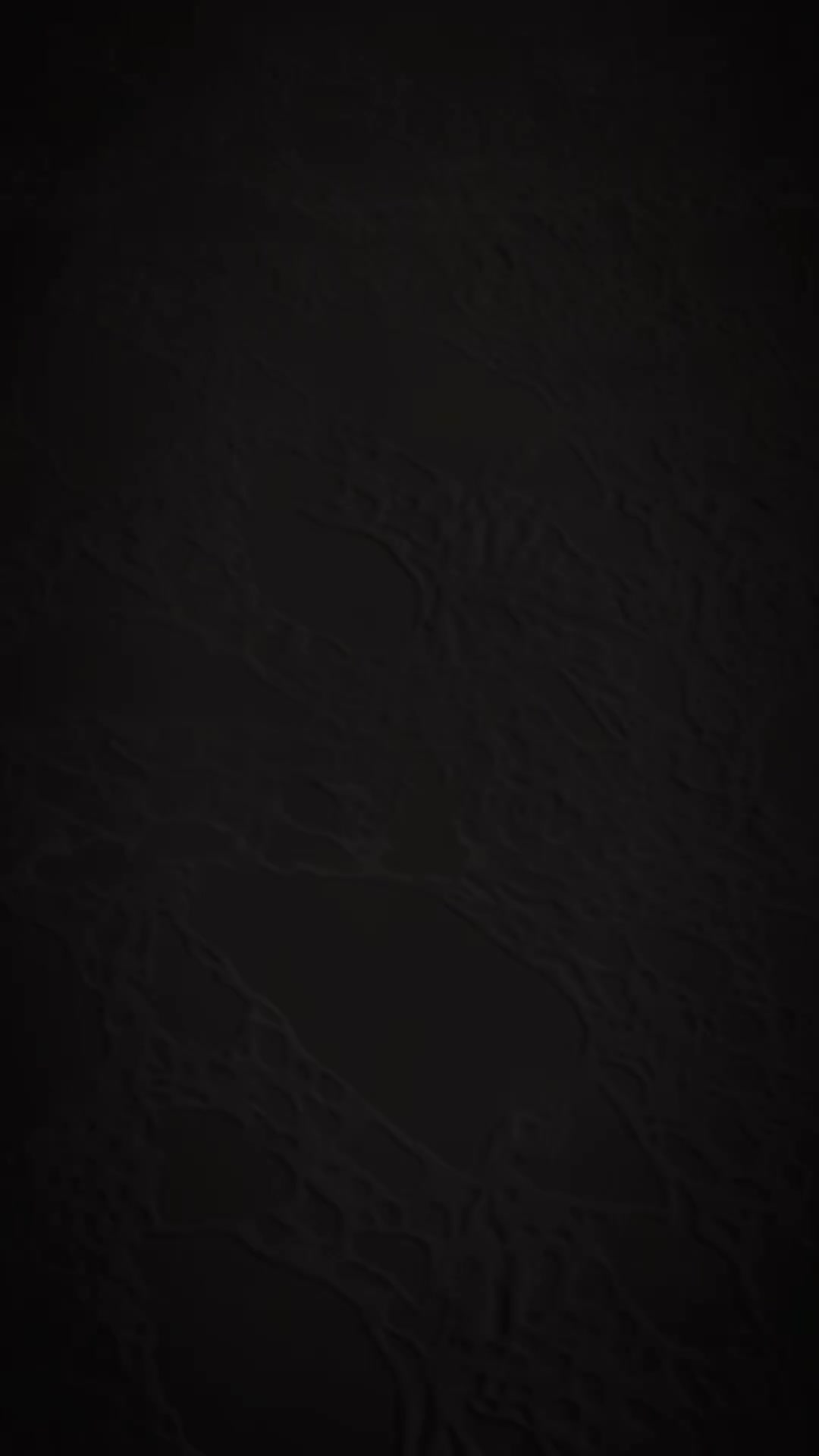 Carpet - 22