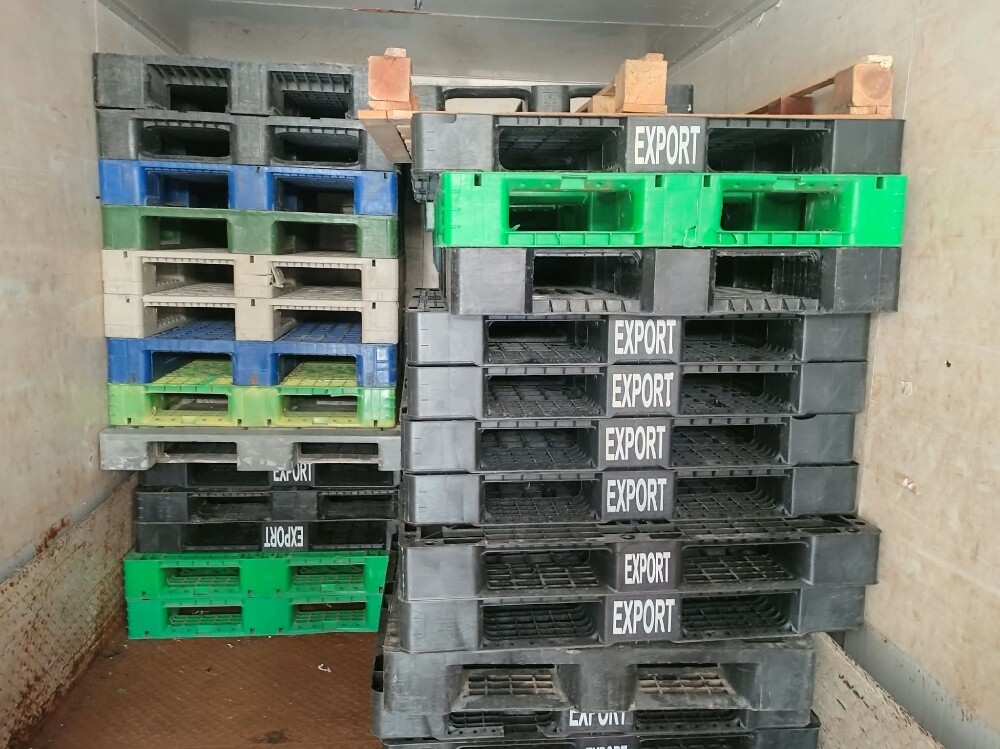 plastic palet good - 4