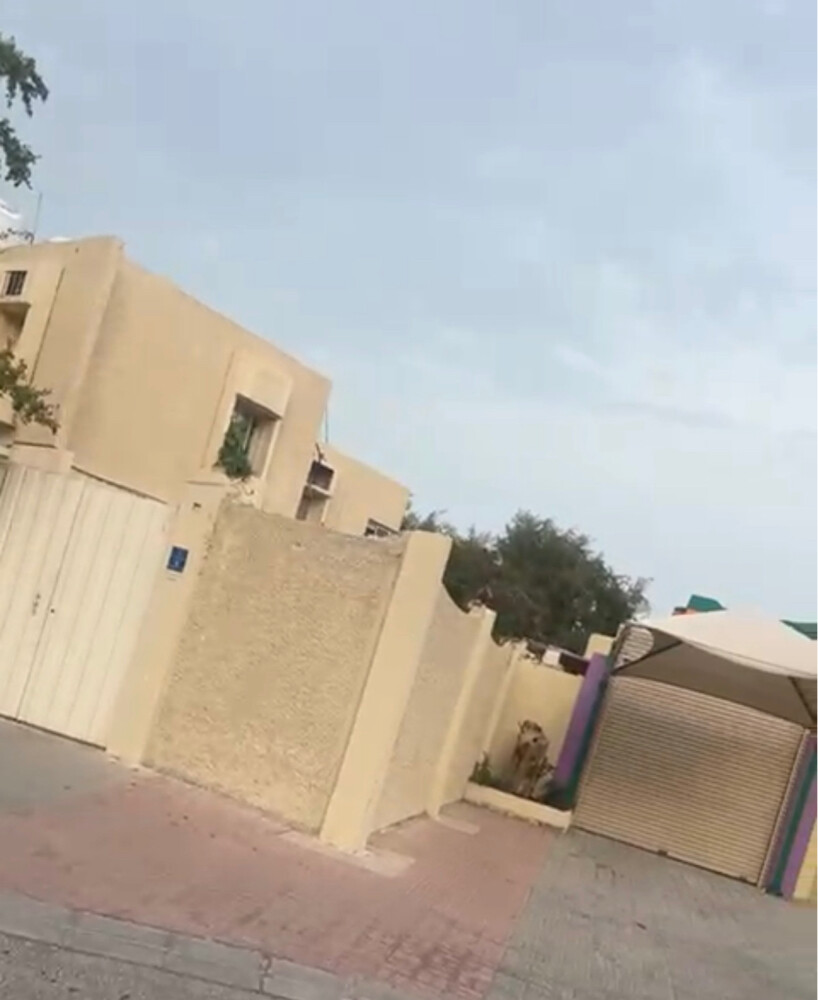بيت في عنيزة طابقين علي شارع عام - 3