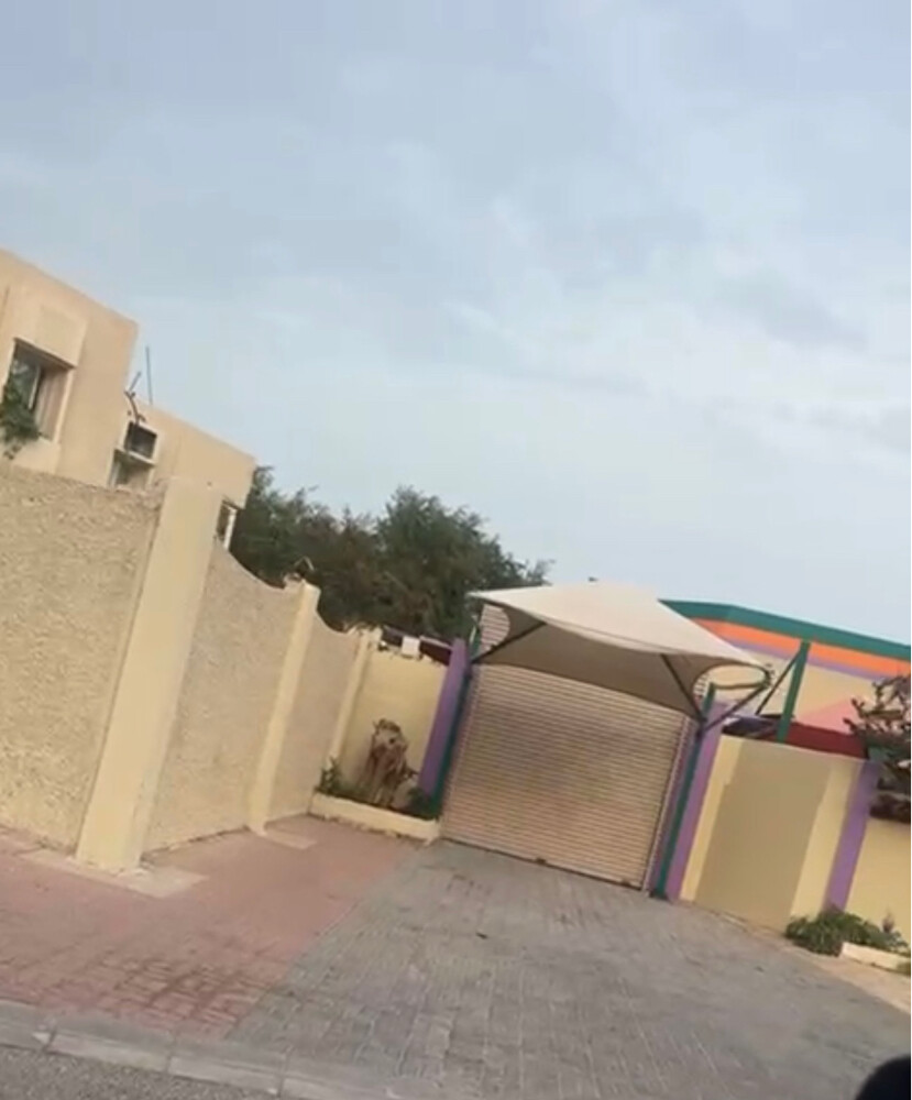 بيت في عنيزة طابقين علي شارع عام - 2