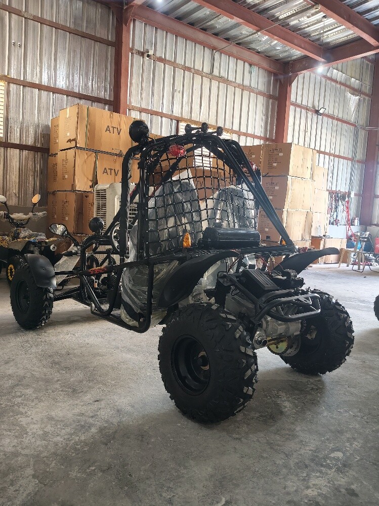 buggy 250cc - 6