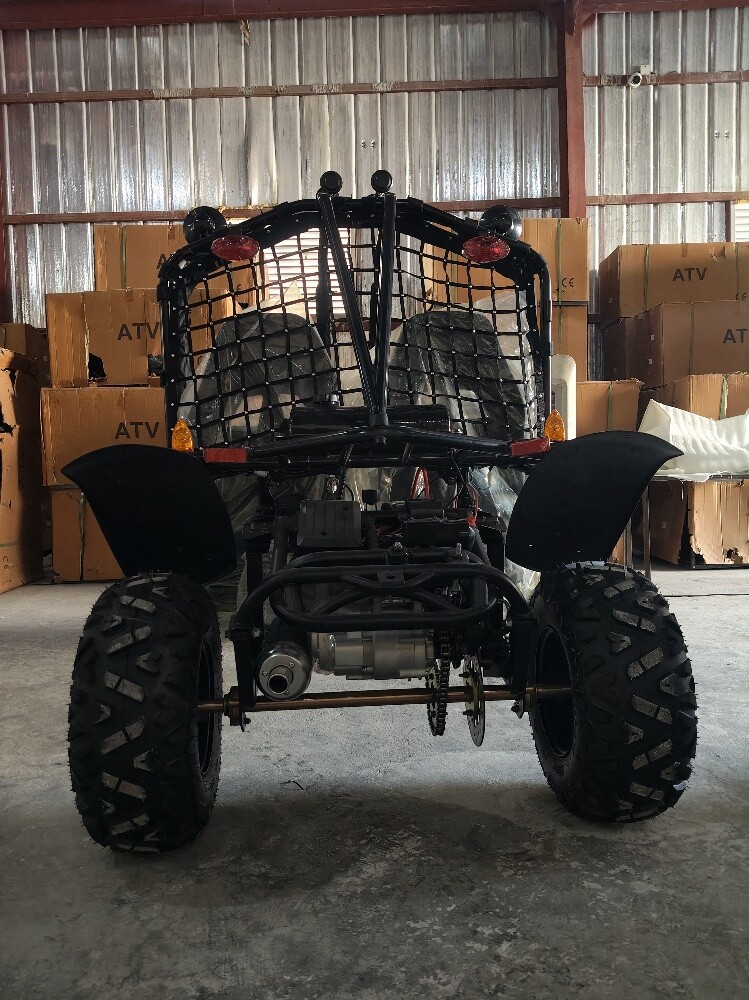 buggy 250cc - 8