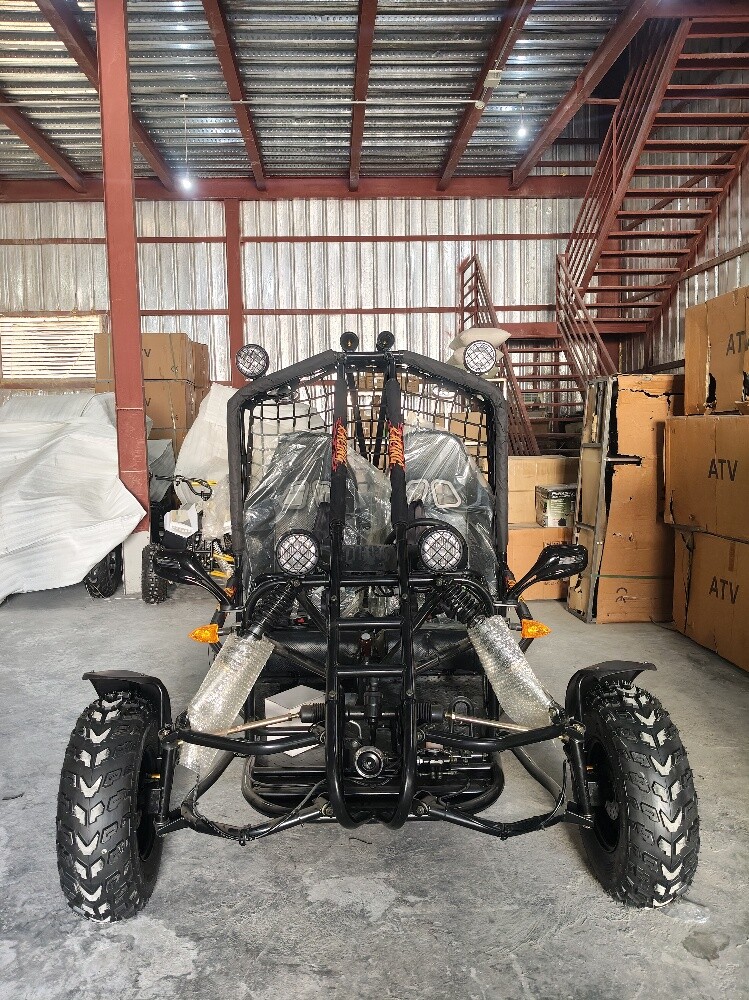 buggy 250cc - 4