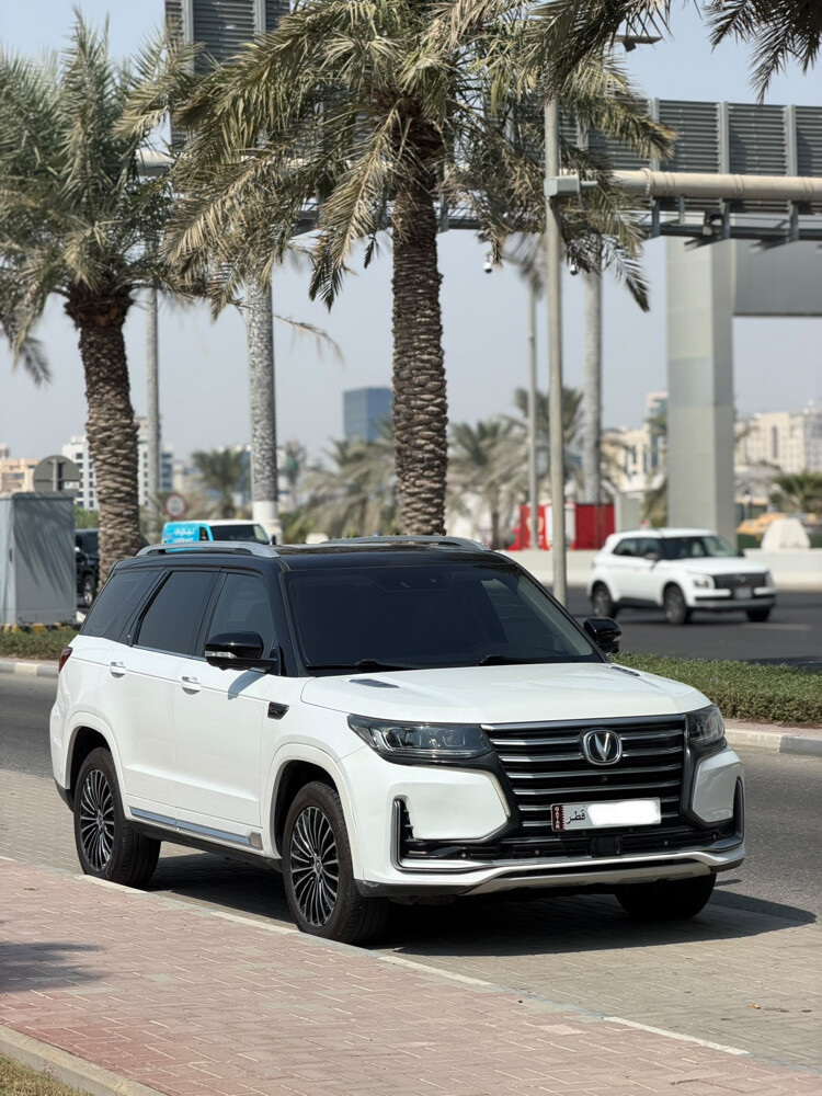 تشانجان سي اس 95 2022 - 2