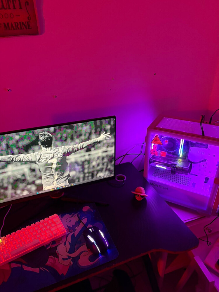 gaming setup - 2