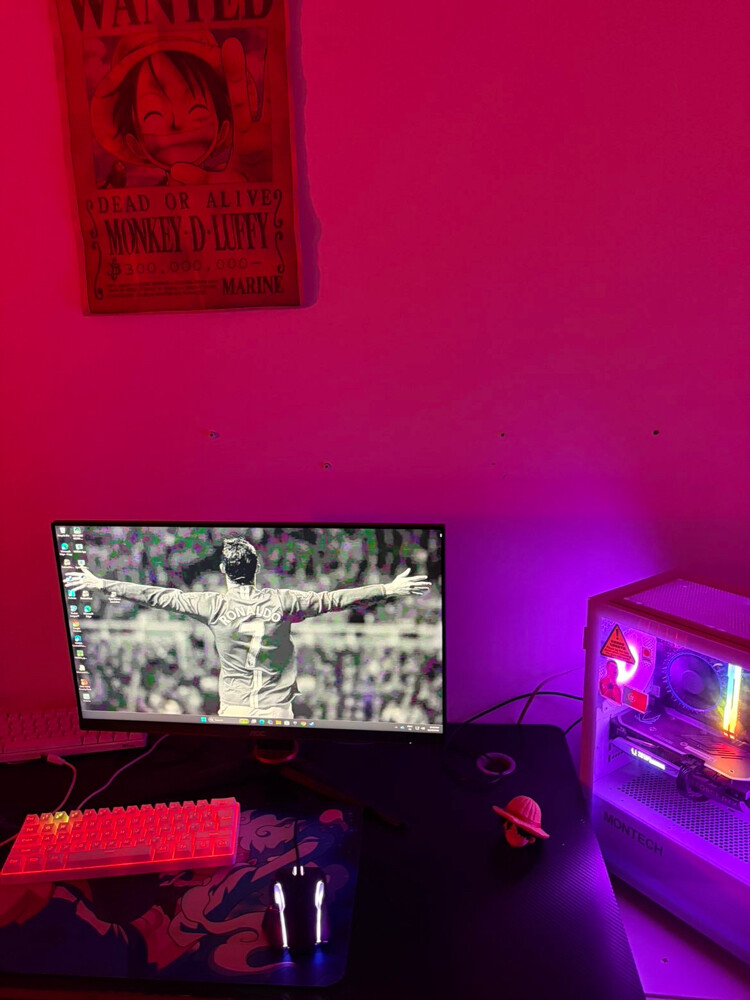 gaming setup - 4